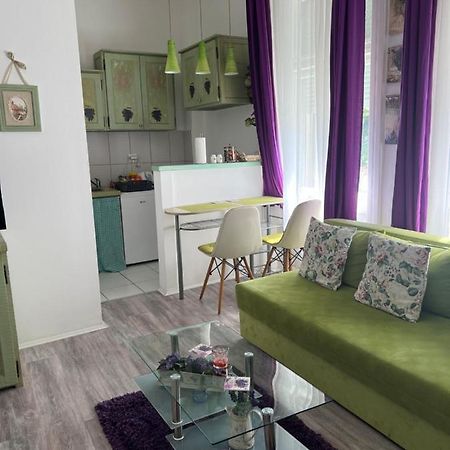 Center Cosy Vintage Apartment 노비사드 외부 사진