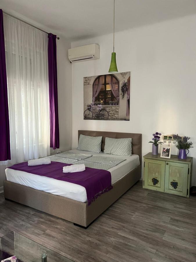 Center Cosy Vintage Apartment 노비사드 외부 사진