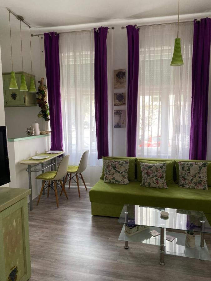 Center Cosy Vintage Apartment 노비사드 외부 사진