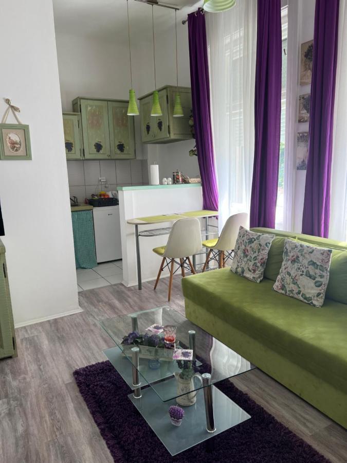Center Cosy Vintage Apartment 노비사드 외부 사진