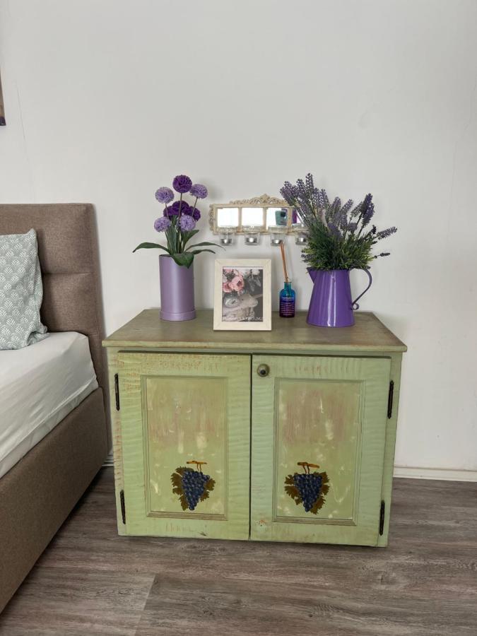 Center Cosy Vintage Apartment 노비사드 외부 사진